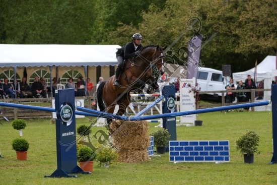 AS7V1325.jpg Samedi 13 et Dimanche 14 Mai 2017 - Val de Reuil - CSO / Hunter Chevaux Julien RENAULT,Adagio Du Plix,