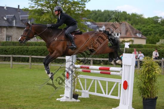 AS7V1319.jpg Samedi 13 et Dimanche 14 Mai 2017 - Val de Reuil - CSO / Hunter Chevaux Julien RENAULT,Adagio Du Plix,