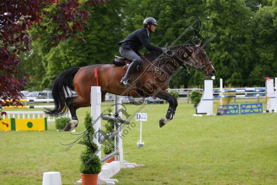 AS7V1328.jpg Samedi 13 et Dimanche 14 Mai 2017 - Val de Reuil - CSO / Hunter Chevaux Julien RENAULT,Adagio Du Plix,