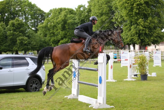 AS7V1329.jpg Samedi 13 et Dimanche 14 Mai 2017 - Val de Reuil - CSO / Hunter Chevaux Julien RENAULT,Adagio Du Plix,