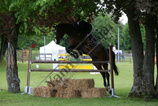 AS7V1314.jpg Samedi 13 et Dimanche 14 Mai 2017 - Val de Reuil - CSO / Hunter Chevaux Julien RENAULT,Adagio Du Plix,