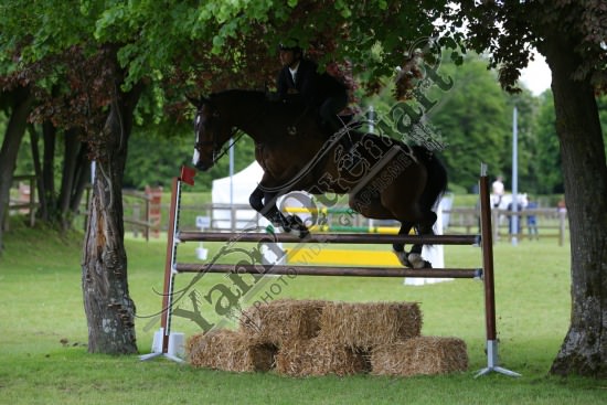 AS7V1315.jpg Samedi 13 et Dimanche 14 Mai 2017 - Val de Reuil - CSO / Hunter Chevaux Julien RENAULT,Adagio Du Plix,