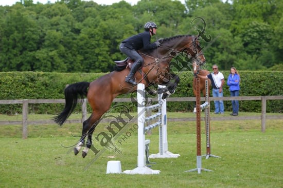 AS7V1331.jpg Samedi 13 et Dimanche 14 Mai 2017 - Val de Reuil - CSO / Hunter Chevaux Julien RENAULT,Adagio Du Plix,
