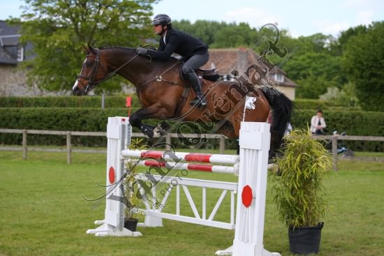 AS7V1318.jpg Samedi 13 et Dimanche 14 Mai 2017 - Val de Reuil - CSO / Hunter Chevaux Julien RENAULT,Adagio Du Plix,