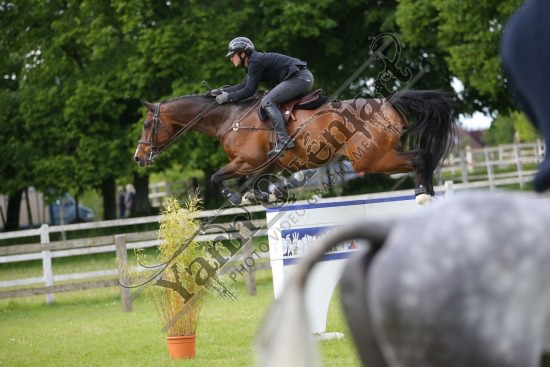 AS7V1321.jpg Samedi 13 et Dimanche 14 Mai 2017 - Val de Reuil - CSO / Hunter Chevaux Julien RENAULT,Adagio Du Plix,