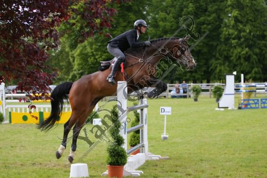 AS7V1327.jpg Samedi 13 et Dimanche 14 Mai 2017 - Val de Reuil - CSO / Hunter Chevaux Julien RENAULT,Adagio Du Plix,