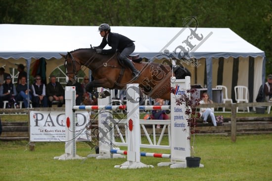 AS7V1313.jpg Samedi 13 et Dimanche 14 Mai 2017 - Val de Reuil - CSO / Hunter Chevaux Julien RENAULT,Adagio Du Plix,