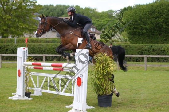 AS7V1317.jpg Samedi 13 et Dimanche 14 Mai 2017 - Val de Reuil - CSO / Hunter Chevaux Julien RENAULT,Adagio Du Plix,