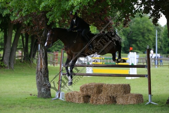 AS7V1316.jpg Samedi 13 et Dimanche 14 Mai 2017 - Val de Reuil - CSO / Hunter Chevaux Julien RENAULT,Adagio Du Plix,