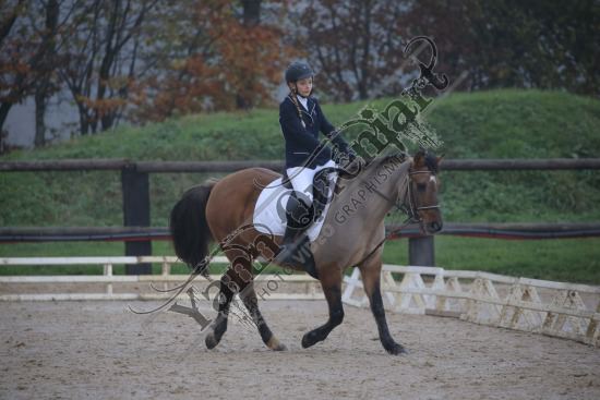 AS7V2720.jpg Dimanche 3 Décembre 2017 - Centre équestre de la Scie - Dressage 