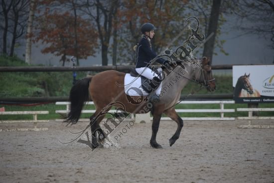 AS7V2719.jpg Dimanche 3 Décembre 2017 - Centre équestre de la Scie - Dressage 