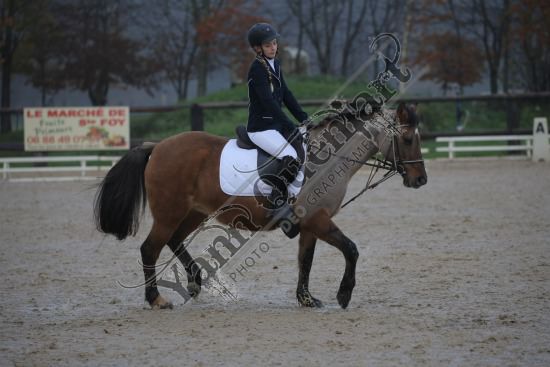 AS7V2713.jpg Dimanche 3 Décembre 2017 - Centre équestre de la Scie - Dressage 