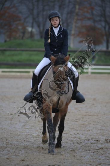 AS7V2711.jpg Dimanche 3 Décembre 2017 - Centre équestre de la Scie - Dressage 