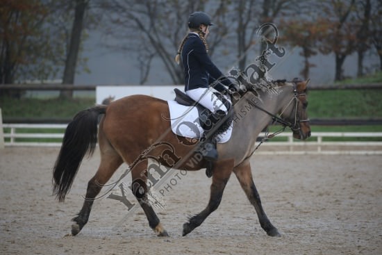 AS7V2717.jpg Dimanche 3 Décembre 2017 - Centre équestre de la Scie - Dressage 