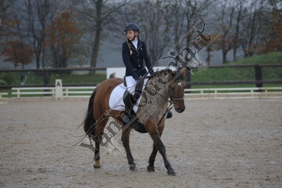 AS7V2714.jpg Dimanche 3 Décembre 2017 - Centre équestre de la Scie - Dressage 