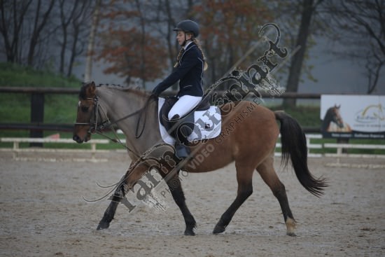 AS7V2721.jpg Dimanche 3 Décembre 2017 - Centre équestre de la Scie - Dressage 