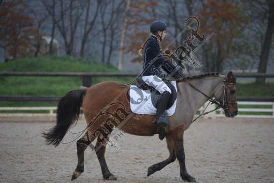 AS7V2716.jpg Dimanche 3 Décembre 2017 - Centre équestre de la Scie - Dressage 