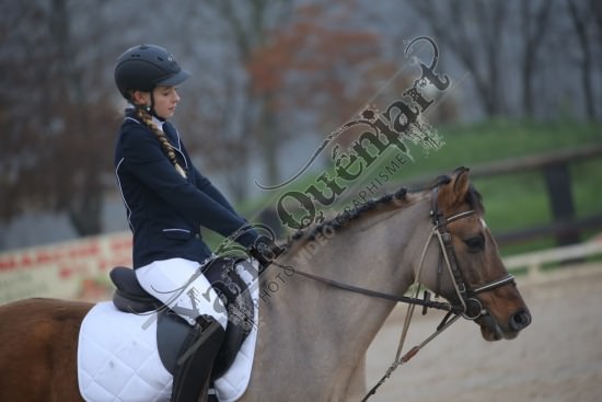 AS7V2723.jpg Dimanche 3 Décembre 2017 - Centre équestre de la Scie - Dressage 