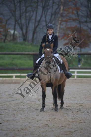 AS7V2709.jpg Dimanche 3 Décembre 2017 - Centre équestre de la Scie - Dressage 