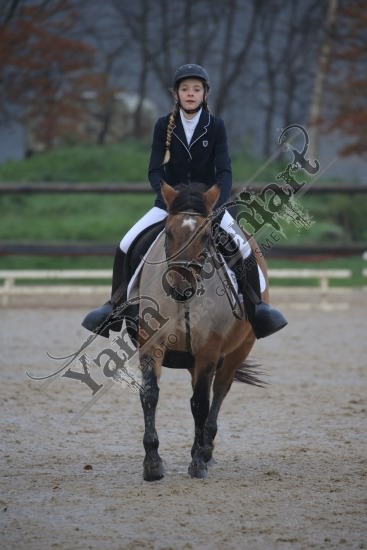 AS7V2710.jpg Dimanche 3 Décembre 2017 - Centre équestre de la Scie - Dressage 