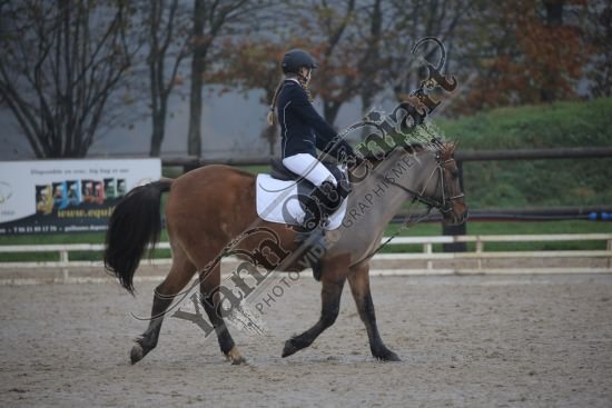 AS7V2718.jpg Dimanche 3 Décembre 2017 - Centre équestre de la Scie - Dressage 