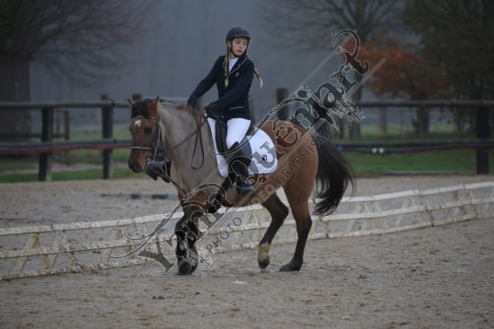 AS7V2722.jpg Dimanche 3 Décembre 2017 - Centre équestre de la Scie - Dressage 