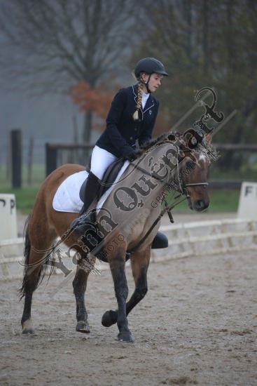 AS7V2728.jpg Dimanche 3 Décembre 2017 - Centre équestre de la Scie - Dressage 