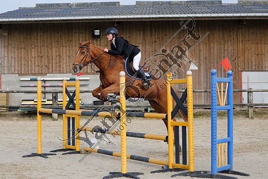 _10A6752.jpg Dimanche 25 Mars 2018 - CE de la Scie - CSO Club, Poney 