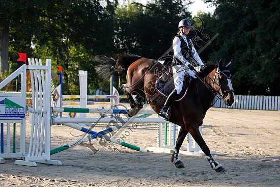 _10A0981.jpg 4 et 5 Aout 2018 - Saint Saens - CSO Chevaux Marion LEGOUPIL,Rick Star Du Rozel,
