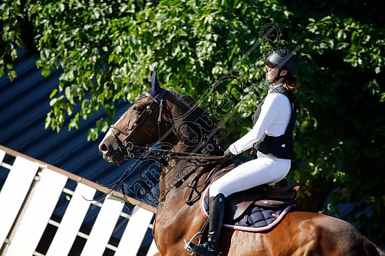 _10A0977.jpg 4 et 5 Aout 2018 - Saint Saens - CSO Chevaux Marion LEGOUPIL,Rick Star Du Rozel,