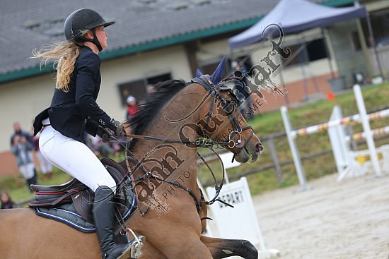 AS7V1028.jpg Samedi 6 au Lundi 8 Mai 2017 - CFA d'Yvetot - CSO Chevaux Sophie LEROY,Prince Des Etisses,
