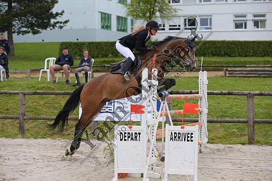 AS7V1023.jpg Samedi 6 au Lundi 8 Mai 2017 - CFA d'Yvetot - CSO Chevaux Sophie LEROY,Prince Des Etisses,