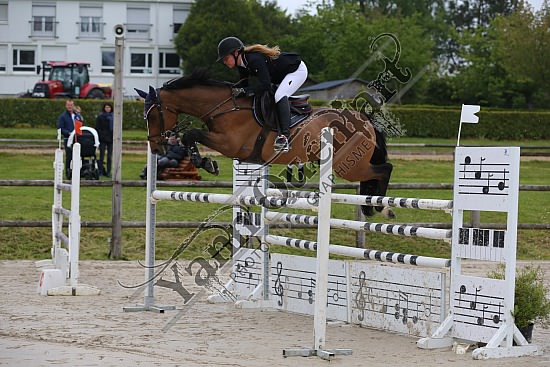AS7V1032.jpg Samedi 6 au Lundi 8 Mai 2017 - CFA d'Yvetot - CSO Chevaux Sophie LEROY,Prince Des Etisses,
