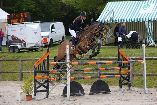 AS7V1022.jpg Samedi 6 au Lundi 8 Mai 2017 - CFA d'Yvetot - CSO Chevaux Sophie LEROY,Prince Des Etisses,