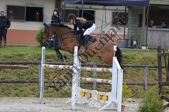 AS7V1015.jpg Samedi 6 au Lundi 8 Mai 2017 - CFA d'Yvetot - CSO Chevaux Sophie LEROY,Prince Des Etisses,