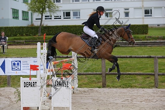 AS7V1025.jpg Samedi 6 au Lundi 8 Mai 2017 - CFA d'Yvetot - CSO Chevaux Sophie LEROY,Prince Des Etisses,