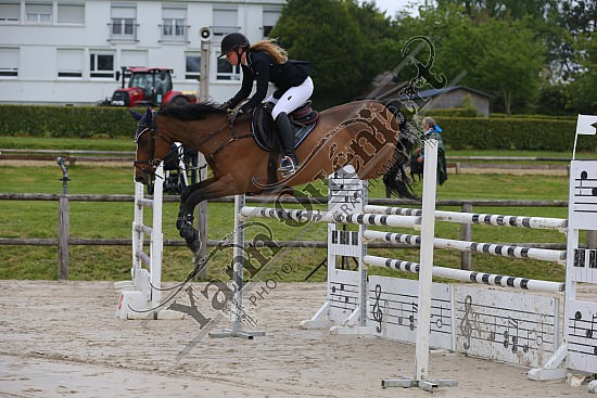 AS7V1033.jpg Samedi 6 au Lundi 8 Mai 2017 - CFA d'Yvetot - CSO Chevaux Sophie LEROY,Prince Des Etisses,