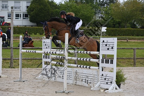 AS7V1031.jpg Samedi 6 au Lundi 8 Mai 2017 - CFA d'Yvetot - CSO Chevaux Sophie LEROY,Prince Des Etisses,