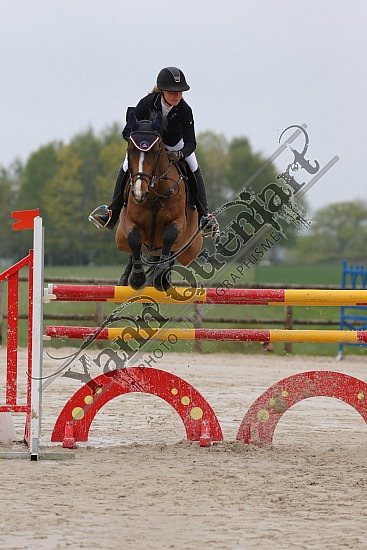 AS7V1019.jpg Samedi 6 au Lundi 8 Mai 2017 - CFA d'Yvetot - CSO Chevaux Sophie LEROY,Prince Des Etisses,