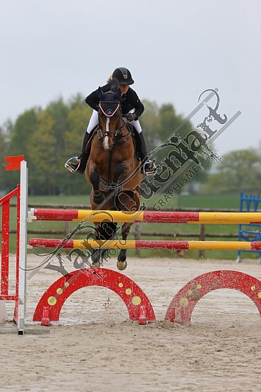 AS7V1018.jpg Samedi 6 au Lundi 8 Mai 2017 - CFA d'Yvetot - CSO Chevaux Sophie LEROY,Prince Des Etisses,