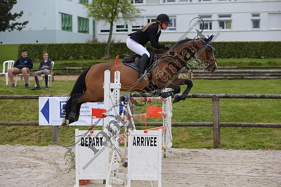 AS7V1024.jpg Samedi 6 au Lundi 8 Mai 2017 - CFA d'Yvetot - CSO Chevaux Sophie LEROY,Prince Des Etisses,