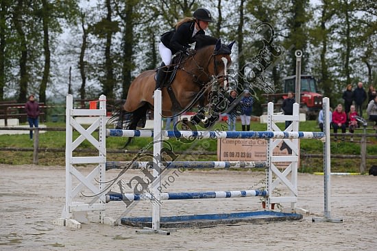 AS7V1027.jpg Samedi 6 au Lundi 8 Mai 2017 - CFA d'Yvetot - CSO Chevaux Sophie LEROY,Prince Des Etisses,