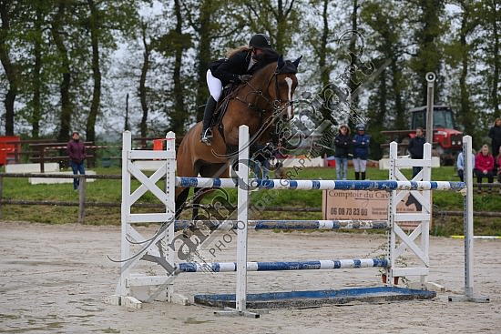AS7V1026.jpg Samedi 6 au Lundi 8 Mai 2017 - CFA d'Yvetot - CSO Chevaux Sophie LEROY,Prince Des Etisses,