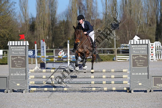 AS7V0898.jpg 23 Février 2019 - Ecuries Lefebvre - CSO Chevaux Eve LECARPENTIER,