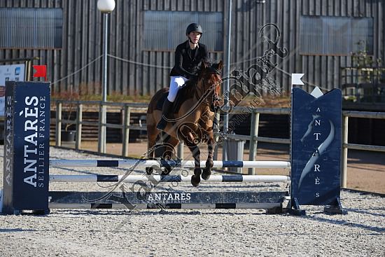 AS7V0884.jpg 23 Février 2019 - Ecuries Lefebvre - CSO Chevaux Inconnu,