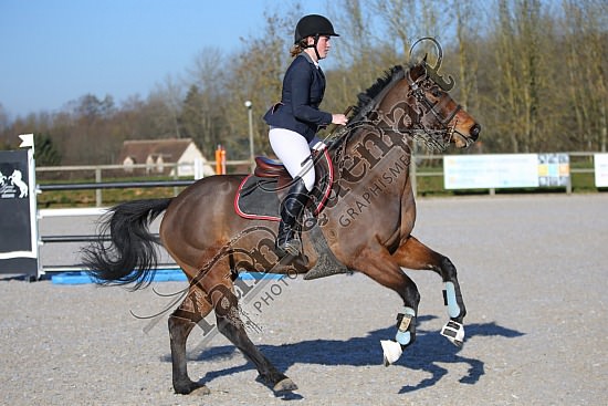 AS7V0896.jpg 23 Février 2019 - Ecuries Lefebvre - CSO Chevaux Eve LECARPENTIER,