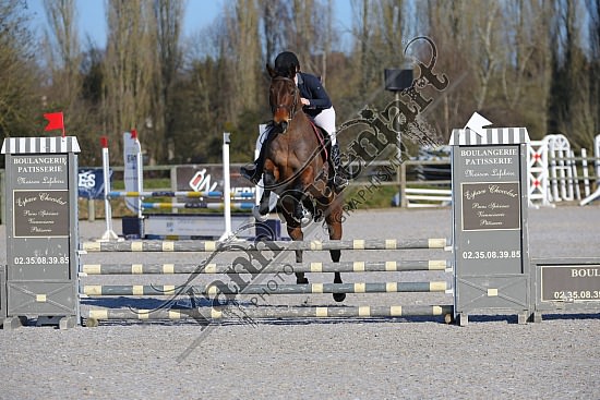 AS7V0897.jpg 23 Février 2019 - Ecuries Lefebvre - CSO Chevaux Eve LECARPENTIER,