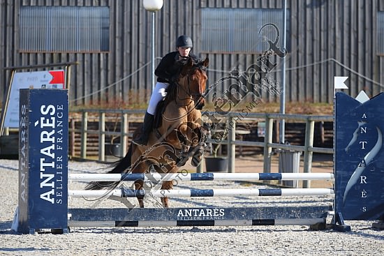 AS7V0887.jpg 23 Février 2019 - Ecuries Lefebvre - CSO Chevaux Eve LECARPENTIER,