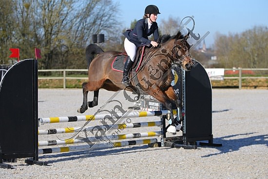 AS7V0895.jpg 23 Février 2019 - Ecuries Lefebvre - CSO Chevaux Eve LECARPENTIER,