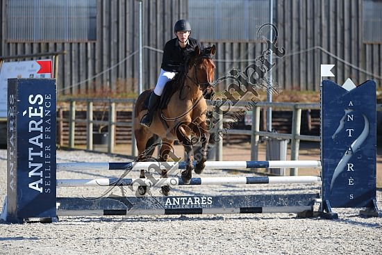 AS7V0888.jpg 23 Février 2019 - Ecuries Lefebvre - CSO Chevaux Eve LECARPENTIER,